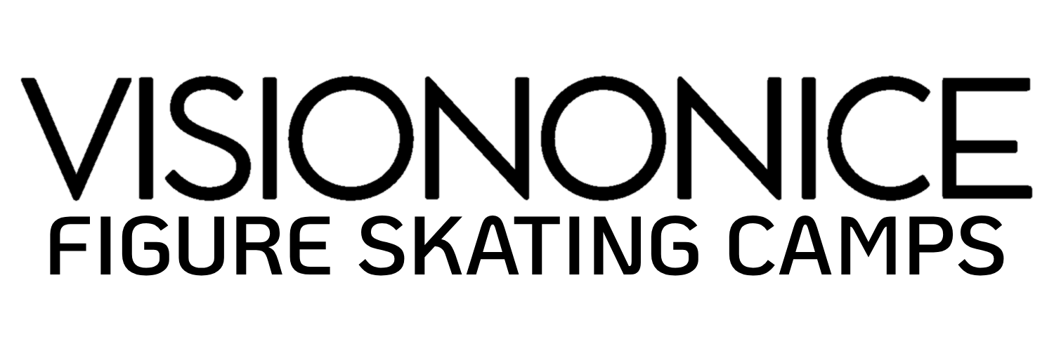 VisionOnIce logo